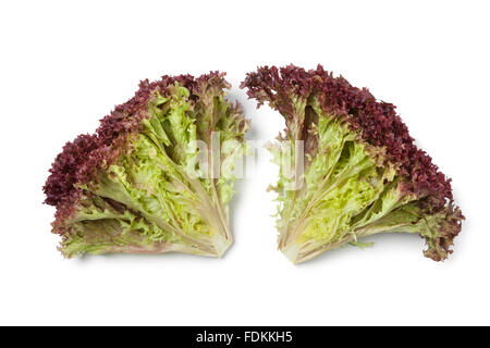Inside fresh Lollo Rosso lettuce on white background Stock Photo