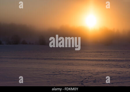 Sunrise in cold and misty winter morning Stock Photo