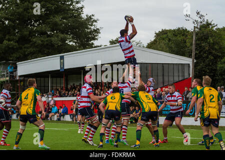 Action from Rosslyn Park FC against Henley Hawks RFC in the English National League 1. Final score: 62-12 Stock Photo