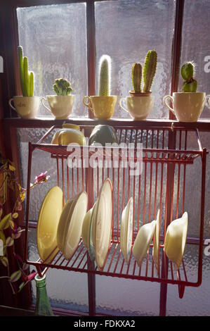 Cacti in cups on the sash window in the Kitchen at The Hardmans' House, 59 Rodney Street, Liverpool. Stock Photo