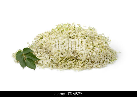 Fresh white Elderberry flowers on white background Stock Photo