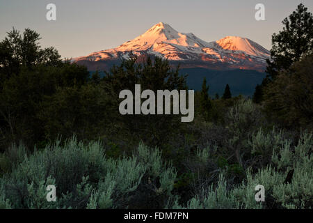 CA02671-00...CALIFORNIA - Sunrise on Mount Shasta and Little Shastina in the Shasta-Trinity National Forest. Stock Photo