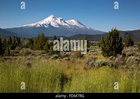 CA02672-00...CALIFORNIA - Mount Shasta and Little Shastina in the Shasta-Trinity National Forest. Stock Photo