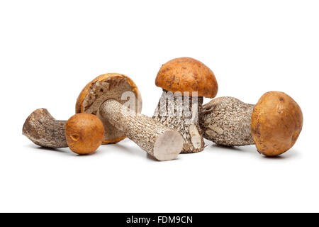 Whole fresh birch boletes on white background Stock Photo