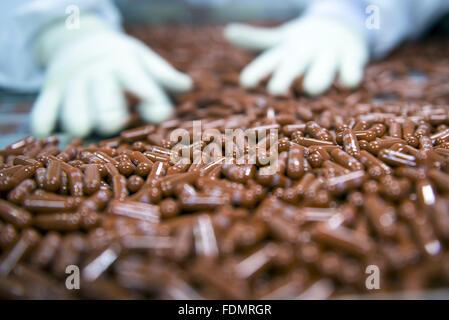 Inside view of pharmaceutical industry Stock Photo
