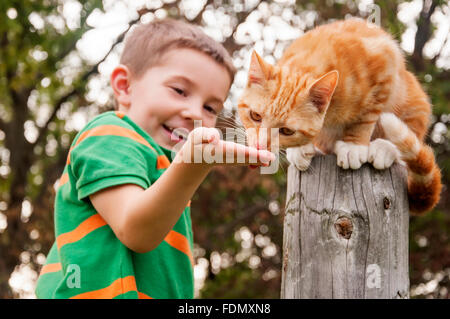boy feeding cat with hand Stock Photo