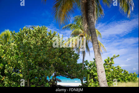 stunning beaches of varadero,cuba Stock Photo