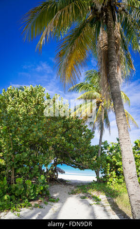 stunning beaches of varadero,cuba Stock Photo