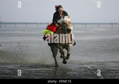 Cuxhaven, Germany, woman with skirt gallops on her Haflinger through the mud Stock Photo