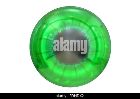 set of human eyeballs with green iris isolated on white background Stock  Photo - Alamy