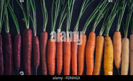 Multi coloured carrots Stock Photo