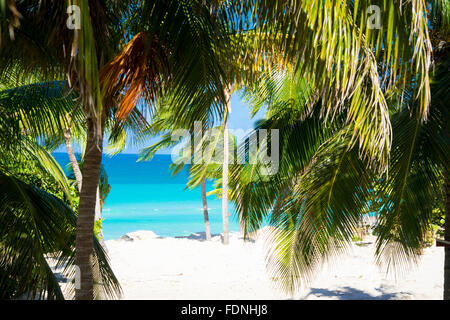 sunny beach in varadero,cuba Stock Photo