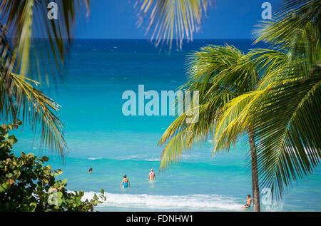 sunny beach in varadero,cuba Stock Photo