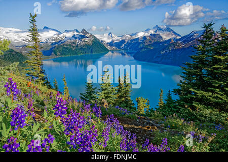 Garibaldi Lake from Panorama Ridge, Garibaldi Provincial Park, British Columbia, Canada Stock Photo