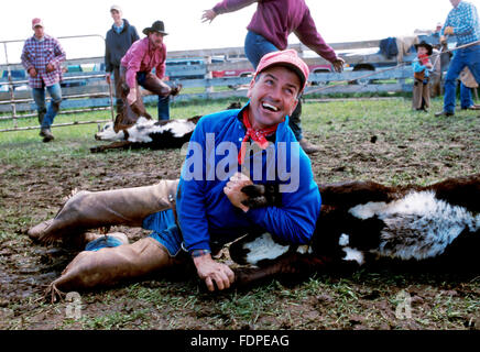 Cattle roundup and branding on a cattle ranch in Belle Fourche, South Dakota Stock Photo