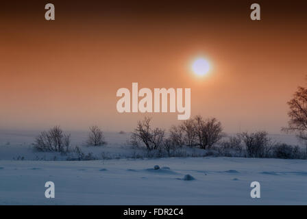 Setting sun with an orange cloudy sky settles over fresh fields of snow interspersed with bushes and trees in this winter style Stock Photo