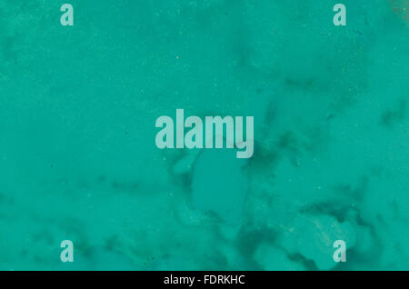 abstract green painted background texture Stock Photo