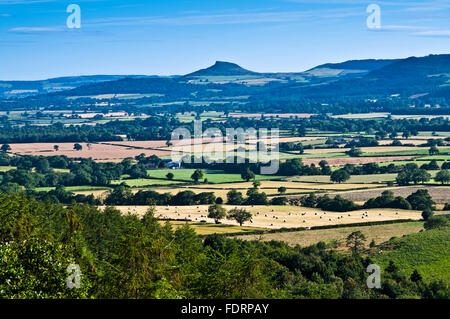 Summer view from Clay Bank across farmland in the vale to Roseberry Topping, North York Moors, Yorkshire, England UK Stock Photo