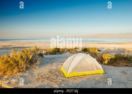 Tent camping at Salt Creek Campground on the eastern shore of the Salton Sea, California Stock Photo