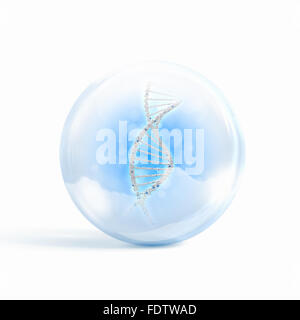 Image of DNA strand inside a glass sphere Stock Photo