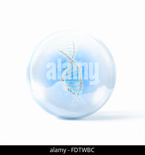 Image of DNA strand inside a glass sphere Stock Photo