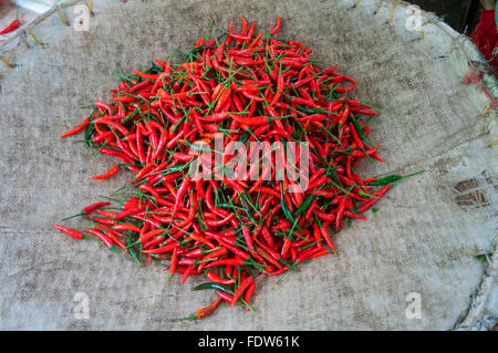 various peppers for sale. Stock Photo