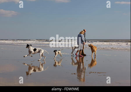 Walking the dogs on the beach at Charmouth, Jurassic Coast World Heritage Site, Dorset, Great Britain. Stock Photo