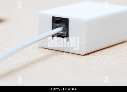 Network cable in the splitter. Close-up view Stock Photo