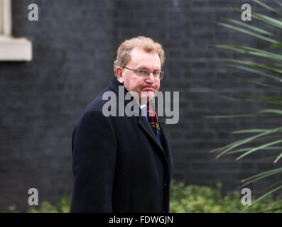 David Mundell,secretary of state for Scotland,arrives at Downing street for a cabinet meeting Stock Photo