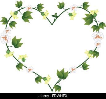 Love Concept, Illustration of Fresh Yellow Cotton Flowers with Buds Forming in Heart Shape Isolated on White Background. Stock Vector