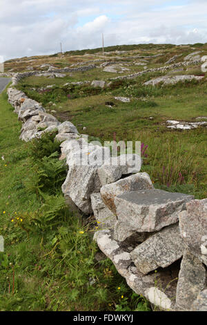 A boulder in a field in the Burren, Connemara, Ireland Stock Photo