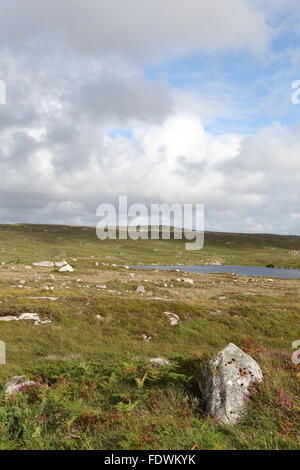 A boulder in a field in the Burren, Connemara, Ireland Stock Photo