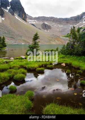 Gorman Lake is a beautiful alpine lake in the heart of the Canadian Rockies, and not too difficult of a hike. Near Golden, BC, C Stock Photo