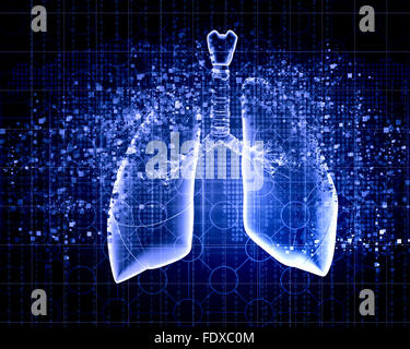 Schematic illustration of human lungs with the different elements on a colored background. Collage. Stock Photo