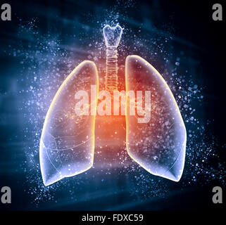 Schematic illustration of human lungs with the different elements on a colored background. Collage. Stock Photo