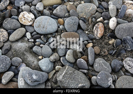 lots of various stones on the beach Stock Photo