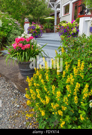 Vashon-Maury Island, WA: Colorful pots at the base of the steps to house and cottage garden Stock Photo