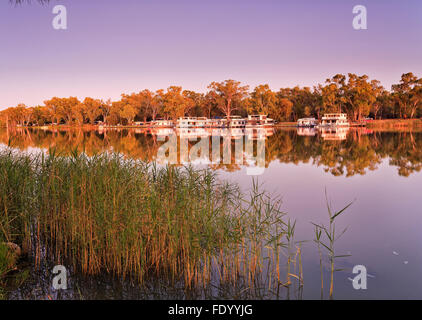 Reeds along banks of Murray river at sunrise with river houses docked on the opposite side reflecting in still waters Stock Photo