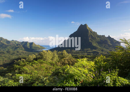 Mount Rotui, Mo'orea, Society Islands, French Polynesia Stock Photo