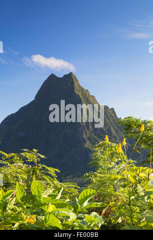 Mount Rotui, Mo'orea, Society Islands, French Polynesia Stock Photo