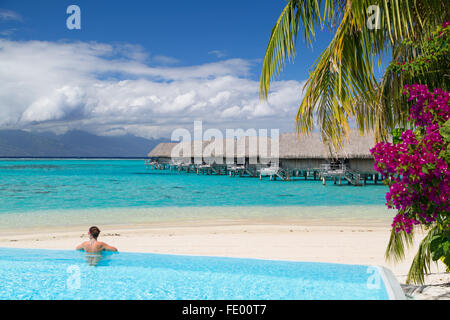 Woman in pool at Sofitel Hotel, Moorea, Society Islands, French Polynesia Stock Photo