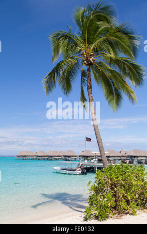 Overwater bungalows of Sofitel Hotel, Moorea, Society Islands, French Polynesia (PR) Stock Photo
