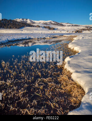 Yellowstone National Park, WY:  An icy Lamar River reflecting Speciman Ridge on a winter morning Stock Photo