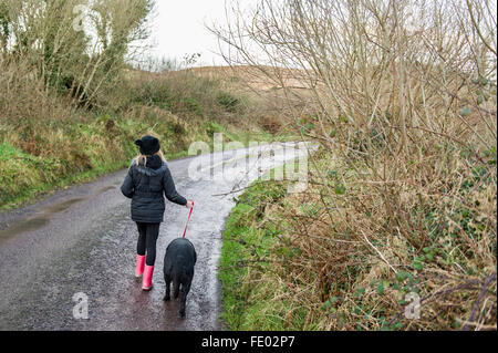 A young girl walks her dog down a country lane in West Cork, Ireland. Stock Photo
