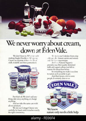 Original full page colour vintage advert from 1970s. Advertisement dated 1978 advertising Eden Vale cream Stock Photo