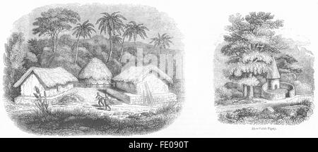SRI LANKA: Huts in Sinhalese village; Welsh Pigsty, antique print 1845 Stock Photo
