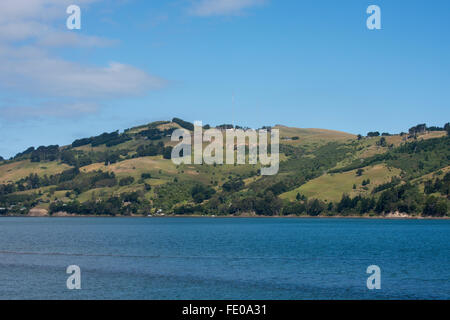 New Zealand, South Island, Dunedin, Otago Peninsula, near Port Chalmers. Stock Photo