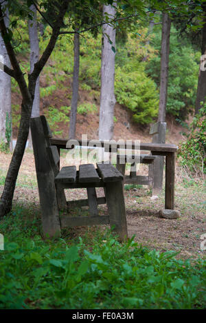 Bench in a forest in autumn Stock Photo