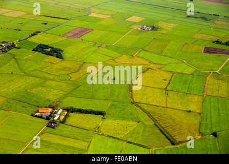 Aerial view, fields in the polders, drainage ditches in the marsh areas, green landscape, Bunde unit municipality in East Frisia Stock Photo