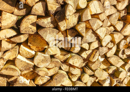 Felled trees split and put into log piles Stock Photo
